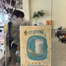 세종인삼 | 일찍 오픈하는 세종 카페 | 윤연당 세종점 내돈내산 후기