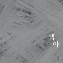 백야전자 이미지