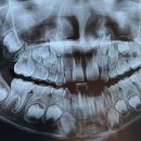 늘푸른미소치과의원 이미지