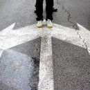 벌떼유통 이미지