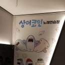 상어코인노래연습장 이미지