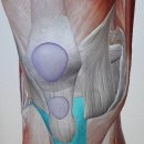 시지 다나아 마취통증의학과 의원 | 대구 시지 다나아 마취통증의학과의원, 무릎통증 골부착부병증 체외충격파치료