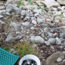 해당화 펜션 이미지