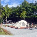 부석초등학교남대분교장 이미지