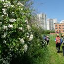 당동배수펌프장 이미지