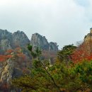 칠성봉을 바라보며 이미지