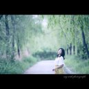 희망의 나무 休 이미지