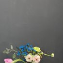 옥스트