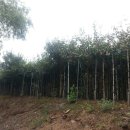 석인농장 이미지