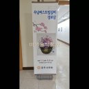 연화경로당 Daum카페