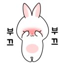샤인뷰티아이브로우바 이미지