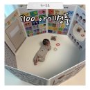 [육아용품] 4개월 아기 타미터임 장난감 i100병풍 내돈내산 후기