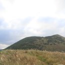 낮은제주 이미지