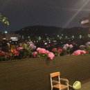 친구 FOOD 이미지