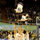 하늘을 날다 이미지