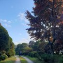 혜원농장 이미지