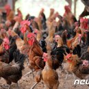 이종현농장 이미지