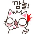 새금강밀면 이미지