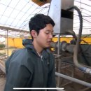 솔로지옥5 우성민 어디서 본얼굴인데 뭐지 했늨데 고딩때 소똥치우는 축사체험 다큐에 나옴 이미지