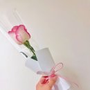 버거킹고양덕양FS점 | [고양/화정] 흑백요리사2 바베큐연구소장! 버거킹 신메뉴 '스모크 비프립 와퍼' 솔직 후기