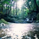 부산어린이대공원 이미지