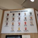 매머드익스프레스외대점(mammothexpress) | [외대 커피] 테이크아웃 전문 저렴한 매머드 익스프레스 메뉴 및 가격(맘모스)