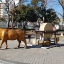 본리어린이공원 소  이미지