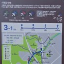 [서울 가볼만한곳] ＜서초문화예술공원＞ 양재천변 산책길 단풍과 갈대, 가을에 누리는 도심의 단풍, 가을 정취 이미지