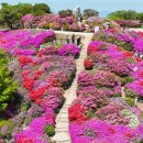 4월 22일 (부산) 파리봉, 상계봉, 백양산 철쭉산행 이미지