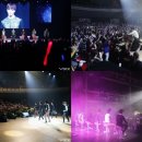 달라스레오 이미지