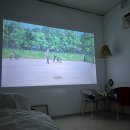 CU북신2호점 | 통영 애견 강아지동반 감성숙소 예뜰리에 게스트하우스 3호방