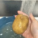 정선베다니자연농장 | [강원도 감자 추천] 바이더홈스 햇 두백감자 특1Kg 후기