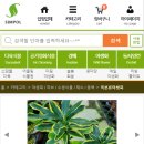 야생화짱스토어