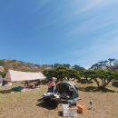 배떡 정관점 | 텐트 설치 가능한 기장 백양농원에 피크닉하고 온 후기!(입장료,입장시간, 주차TIP 공유)