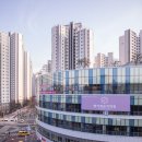 펠리체음악학원 이미지