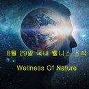 의료법인영파의료재단 마음향기병원 | 2023년 8월 28일 국내 웰니스 소식