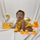 🐥 아기 200일 기념 셀프촬영 소품대여 ‘치즈베베’ 내돈내산 솔직후기