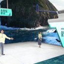 신세계라이브쇼핑1