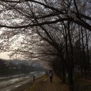 연구단지운동장(건너편) 이미지