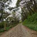 카페만디 이미지