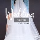꽁카페 - 군포시 초막골길 216 | W16. 광주 본식영상 DVD 꽁스튜디오 계약 후기｜가격·업체 비교(까사디루체 26년 예식)