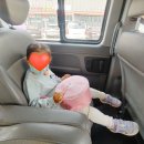 금란초병설유치원 이미지