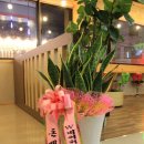 비투제이헤어(B2JHAIR)