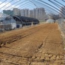 섬말농장 이미지