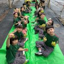 샤인유치원 이미지