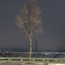 엑스디비 | [26태국_01] 동남아 두 달 배낭여행 Start