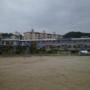 석화초등학교 이미지