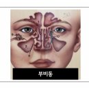 경희양지한의원 이미지