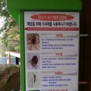 천태산주차장 이미지