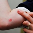 강앤정동물병원 이미지